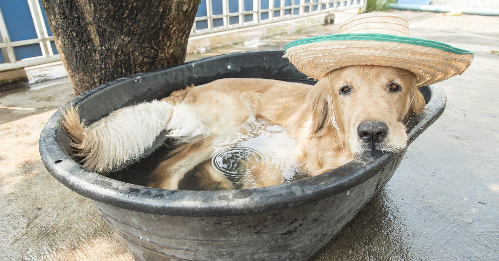 10 Ways to Stay Cool When Outdoors in the Summer